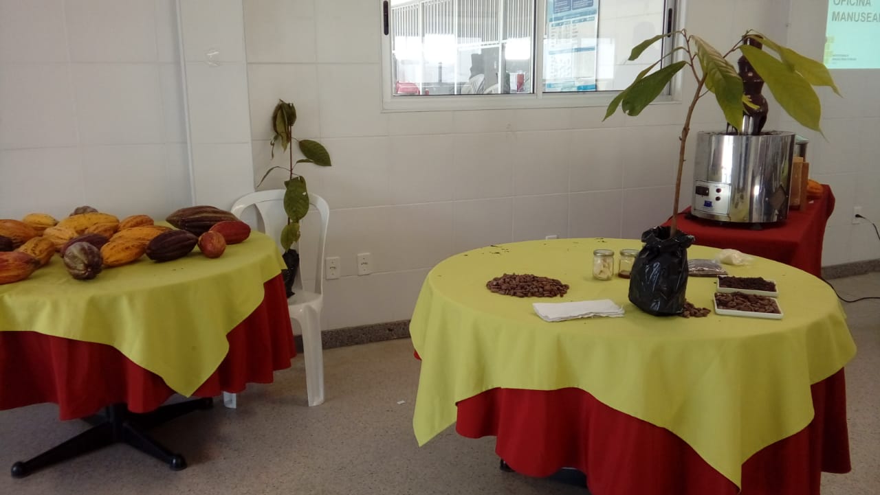 WhatsApp Image 2018-09-27 at 14.27.07 (1)