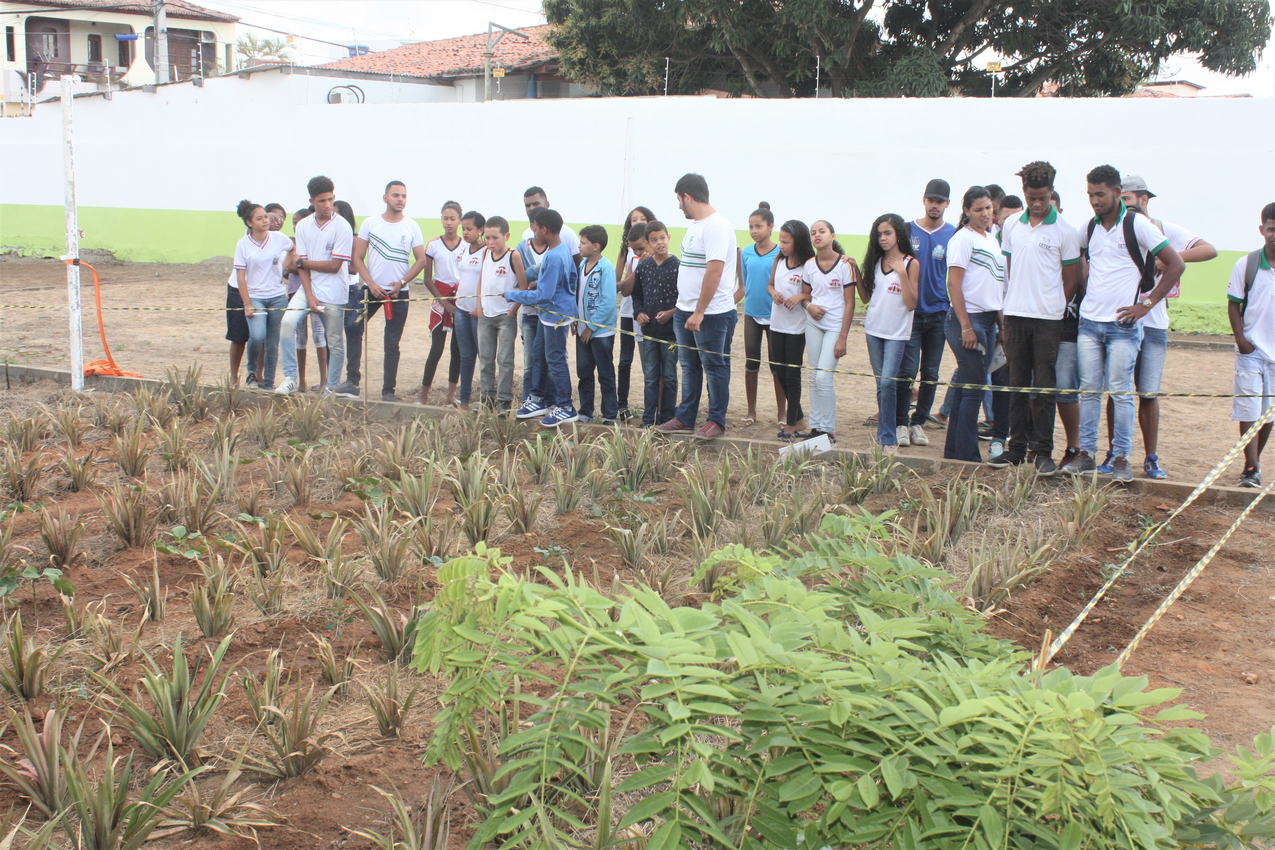 I Feira do Meio Ambiente - IF Baiano Campus Itaberaba
