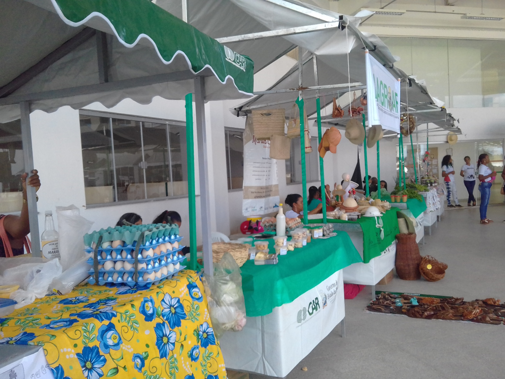 Economia Solidária 1