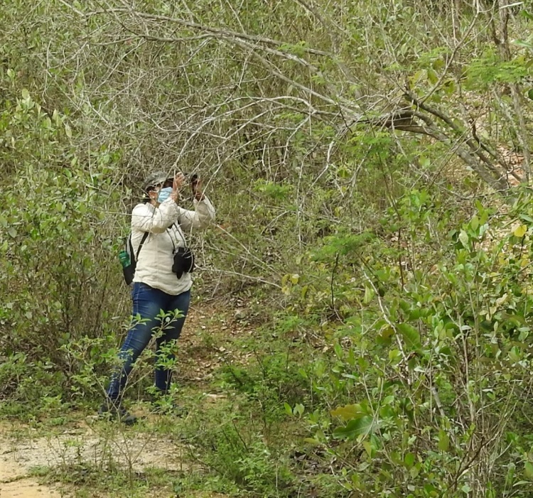 Figura 5: prática de observação de aves