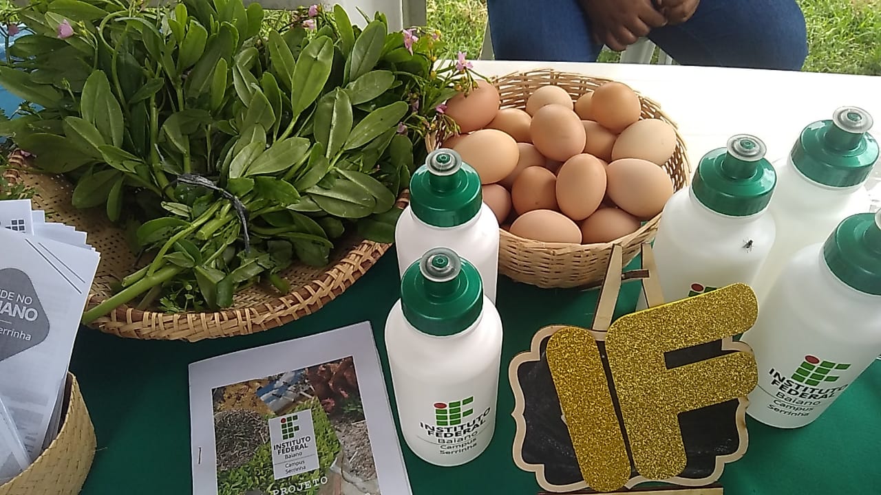 WhatsApp Image 2023-03-27 at 17.17.07