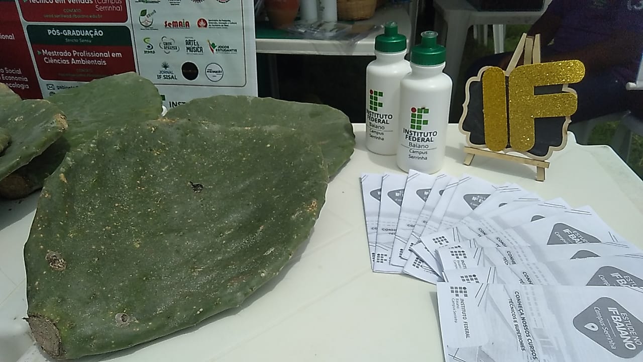 WhatsApp Image 2023-03-27 at 17.17.08 (1)