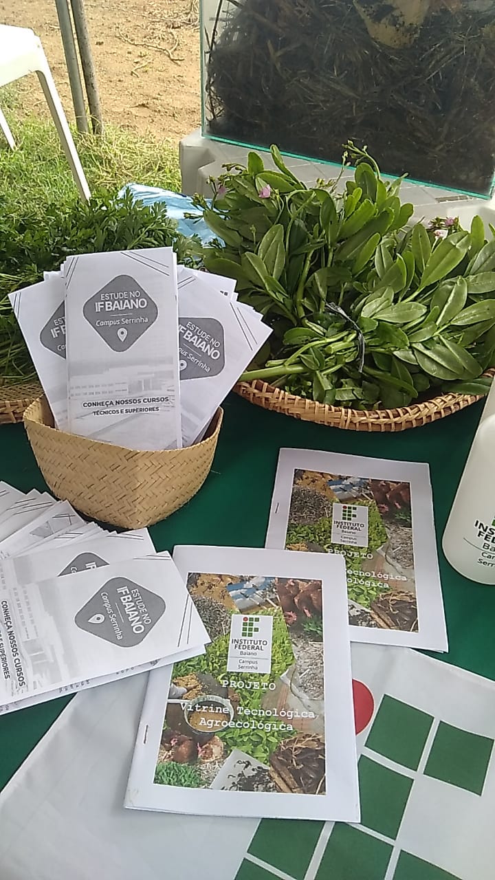 WhatsApp Image 2023-03-27 at 17.17.09