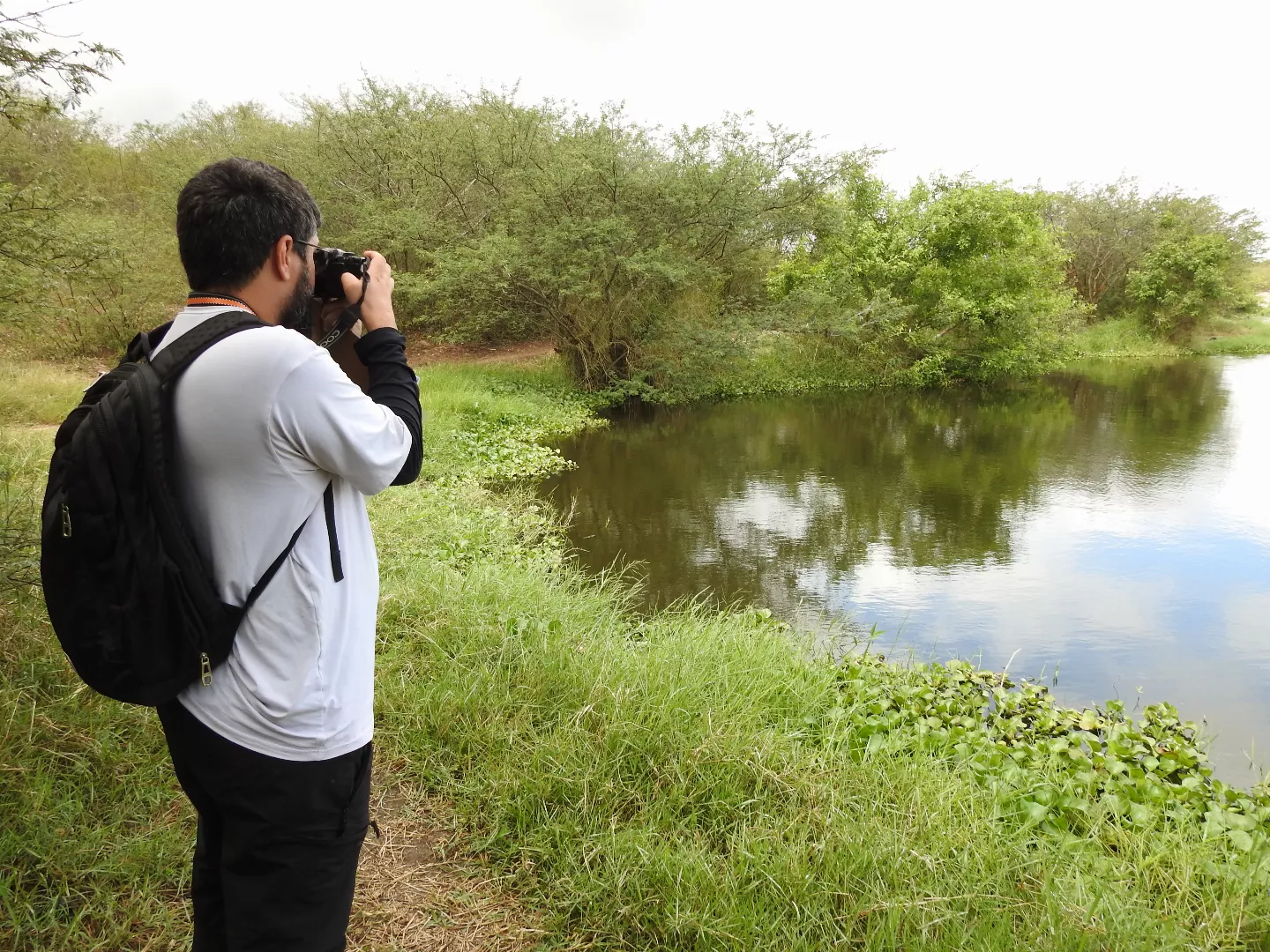 Observação de Aves no Açude do Gravatá