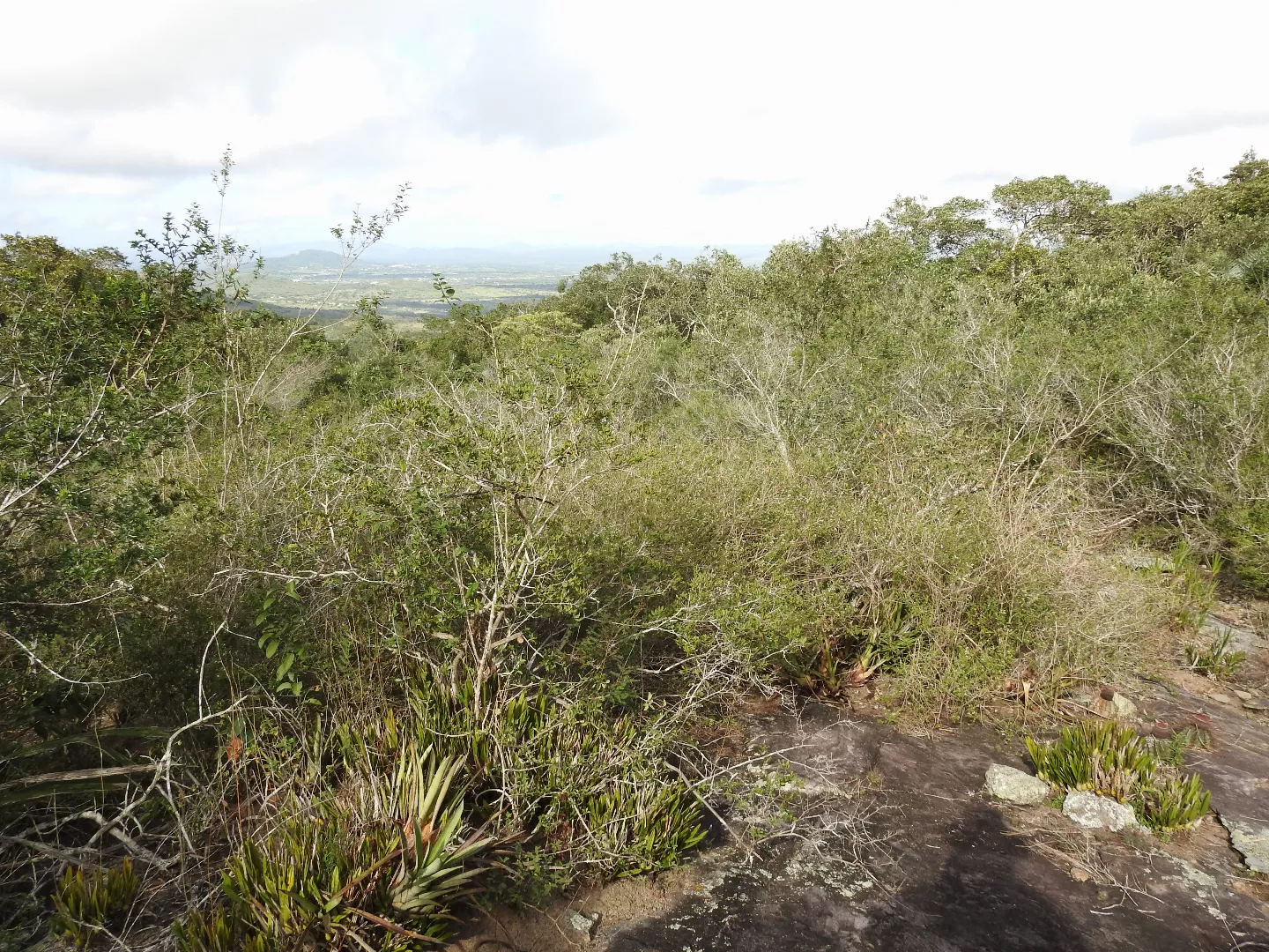 Reserva Ambiental Barra do Vento