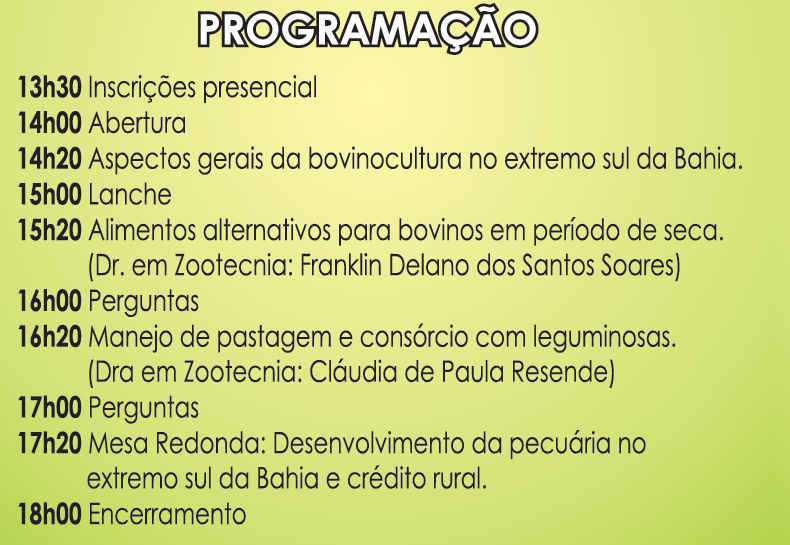 programação